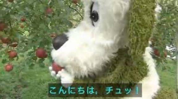 このみpicture